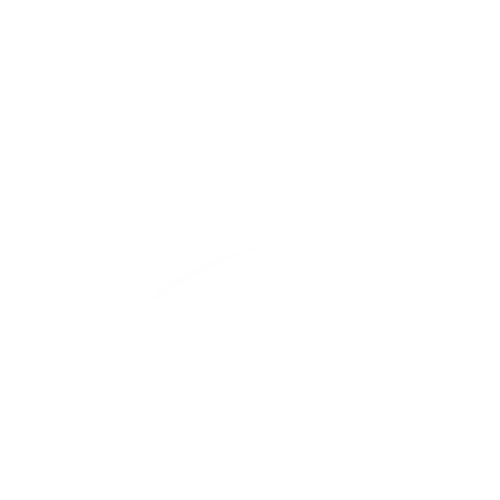  logo DX JOBS